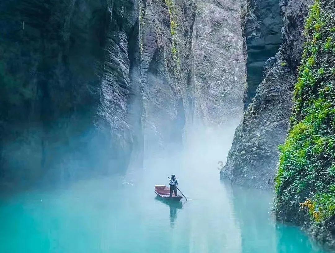 敏捷的白球
